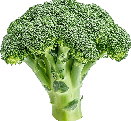 You can place an order through our website by selecting your desired products, adding them to the cart, and checking out. Our Biona Organic Granola with Wild Berries is just the thing to get you out of bed. The goodness of rolled wholegrain oats are combined with a variety of tangy organic berries, and baked into crispy clusters that are as nutritious.