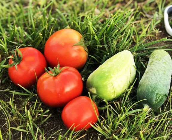 There are many variations of passages of Lorem Ipsum available, but majority have suffered teration in some form, by injected humour, or randomised words which don't look even slight believable. If you are going to use a passage of Lorem Ipsum.